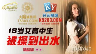 JDSY045